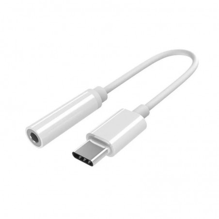 Adaptador OTG USB Tipo C a Mini Plug Hembra